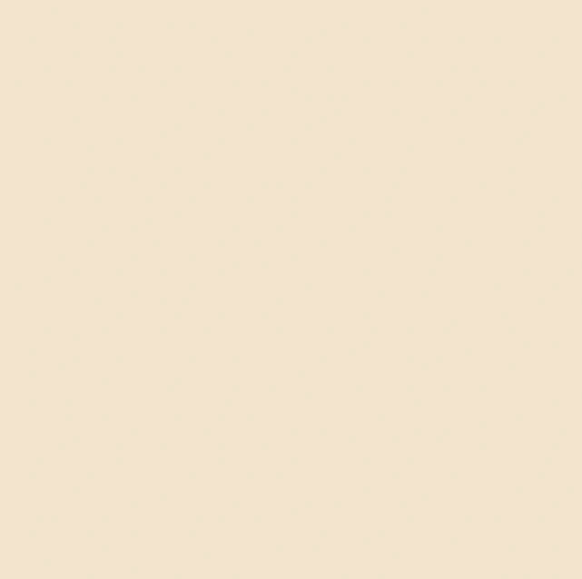 Puro Crema Glossy Porc. 600X600 1st Grade Floor & Wall Tiles