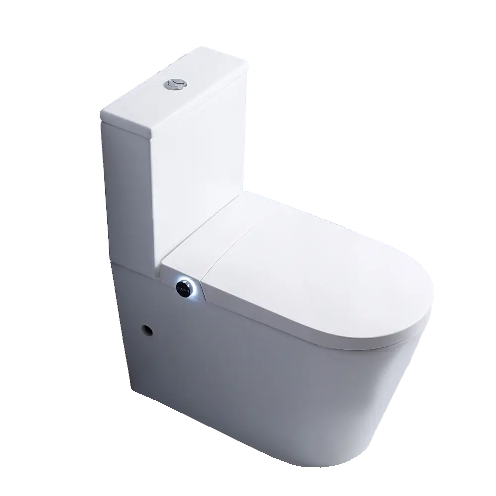 Flavio Toilet Flavio Lavaggio Smart & Cistern