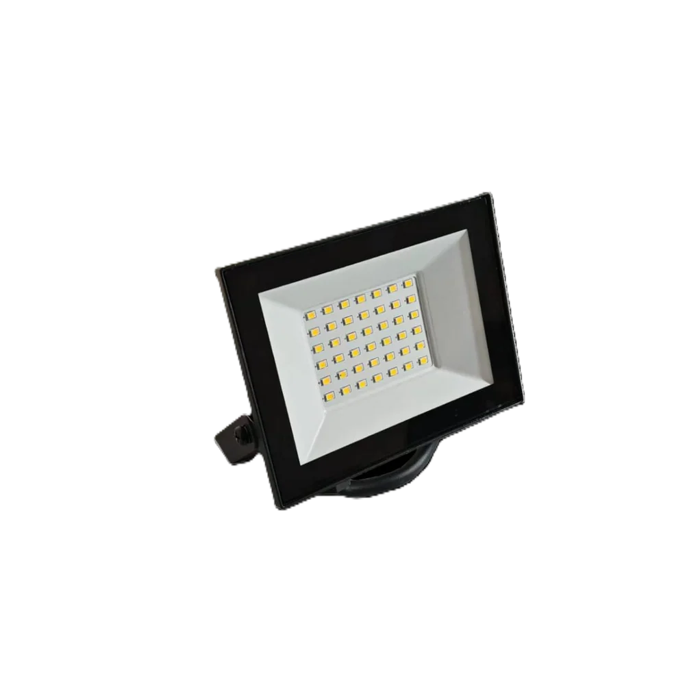 Essential 30W Daylight 6000K Outdoor LED Floodlight
