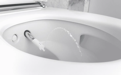 Geberit Aqua Clean Mera Comfort White Wall Hung Pan