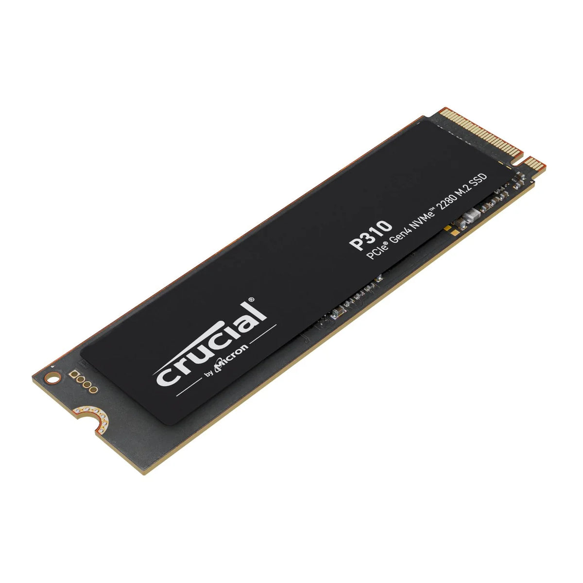 PCBuilder Ryzen 5 7600 SPECIALIST Windows 11 Gaming PC