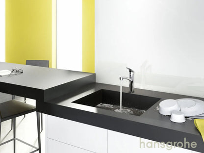 Hansgrohe decor kitchen mixer 160 1jet chrome