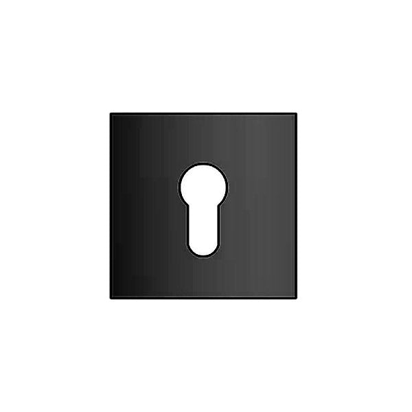 QS Escutheon Cylinder Square Only per Pair MB