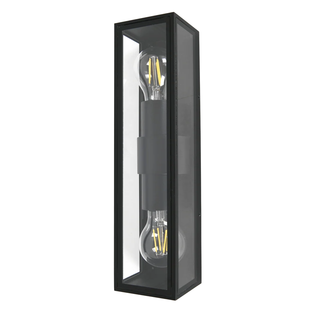 Remy Black Outdoor Wall Light with Clear Glass