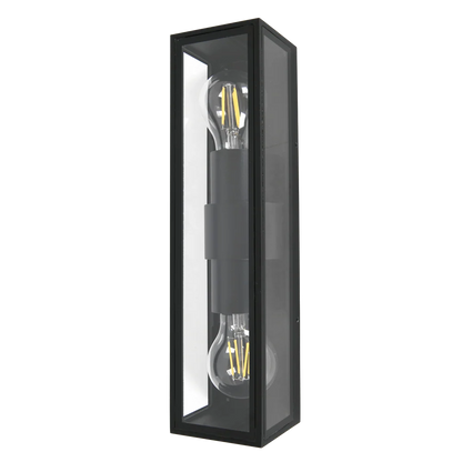 Remy Black Outdoor Wall Light with Clear Glass