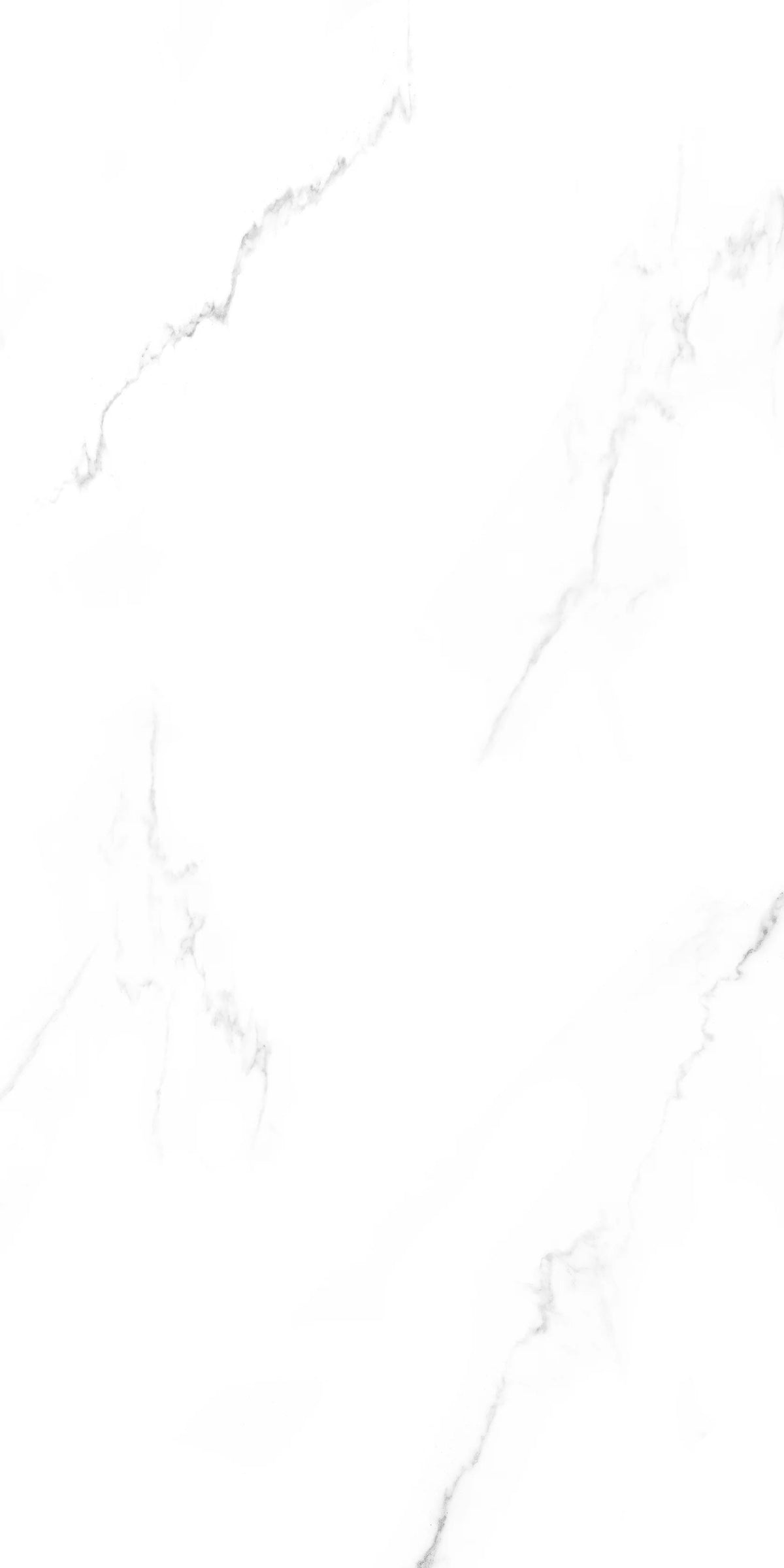 Saturio Glossy Polished Porcelain 600X1200 1st Grade Floor & Wall Tiles