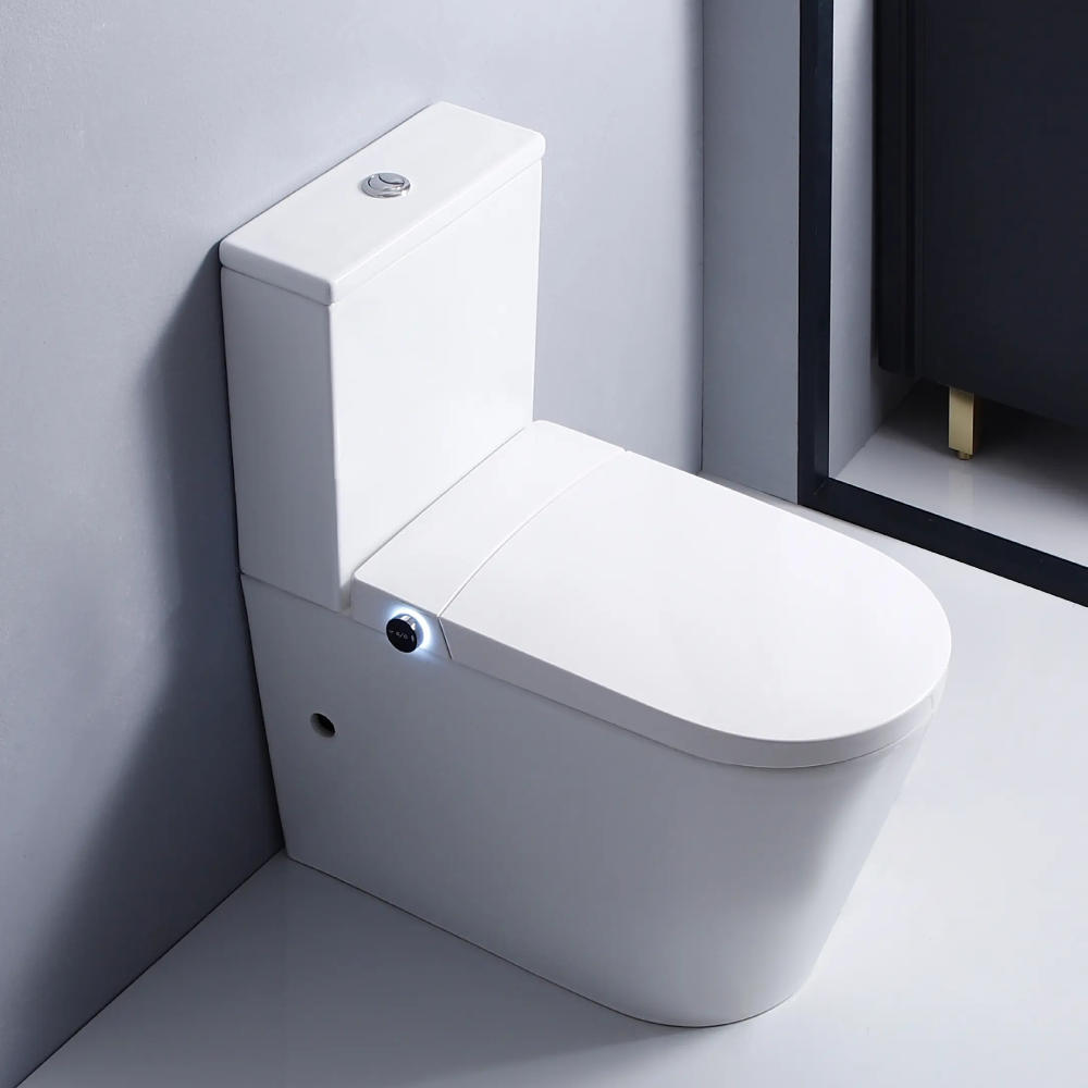 Flavio Toilet Flavio Lavaggio Smart & Cistern