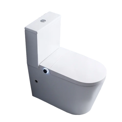 Flavio Toilet Flavio Lavaggio Smart & Cistern