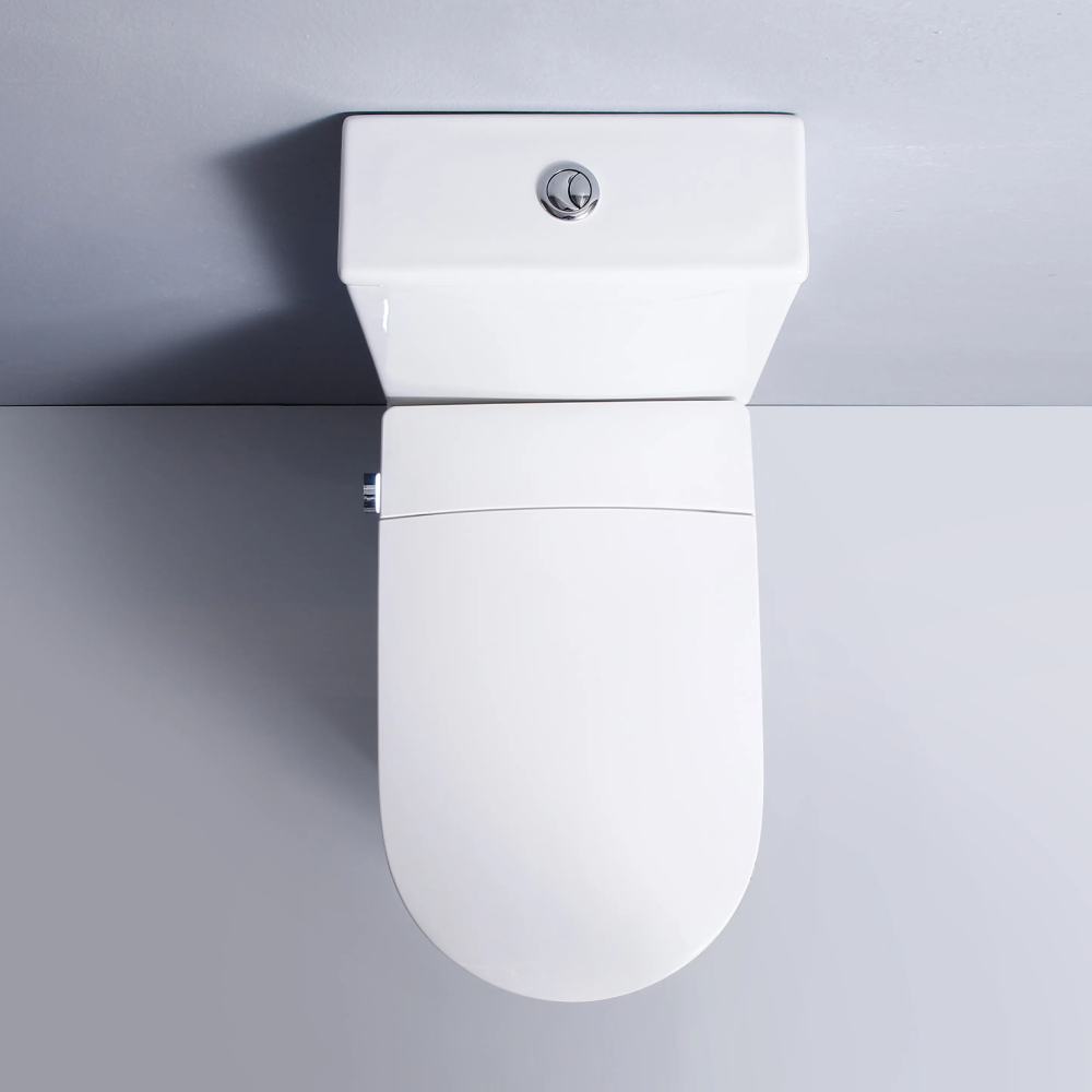 Flavio Toilet Flavio Lavaggio Smart & Cistern
