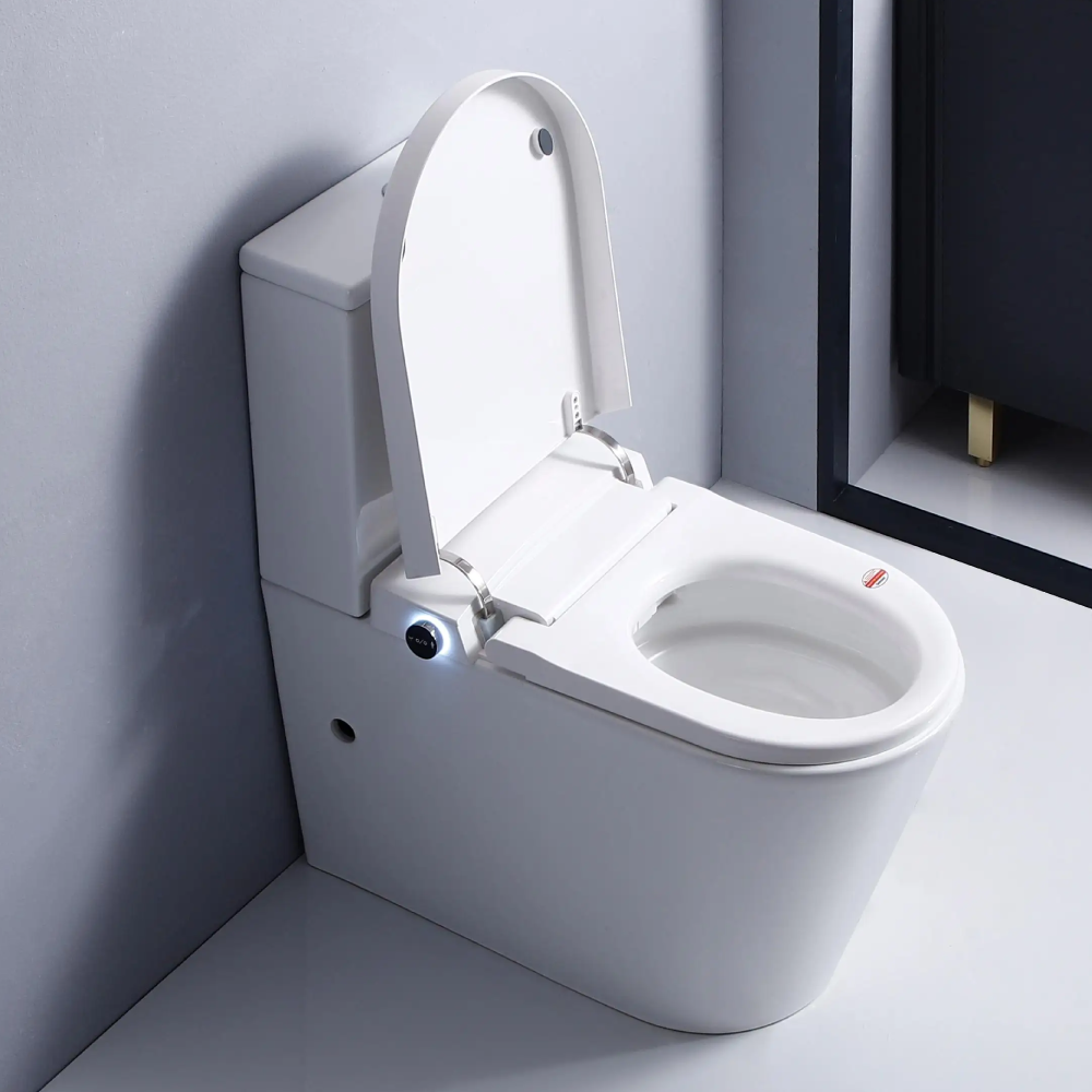 Flavio Toilet Flavio Lavaggio Smart & Cistern