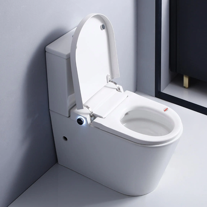 Flavio Toilet Flavio Lavaggio Smart & Cistern