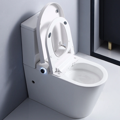Flavio Toilet Flavio Lavaggio Smart & Cistern