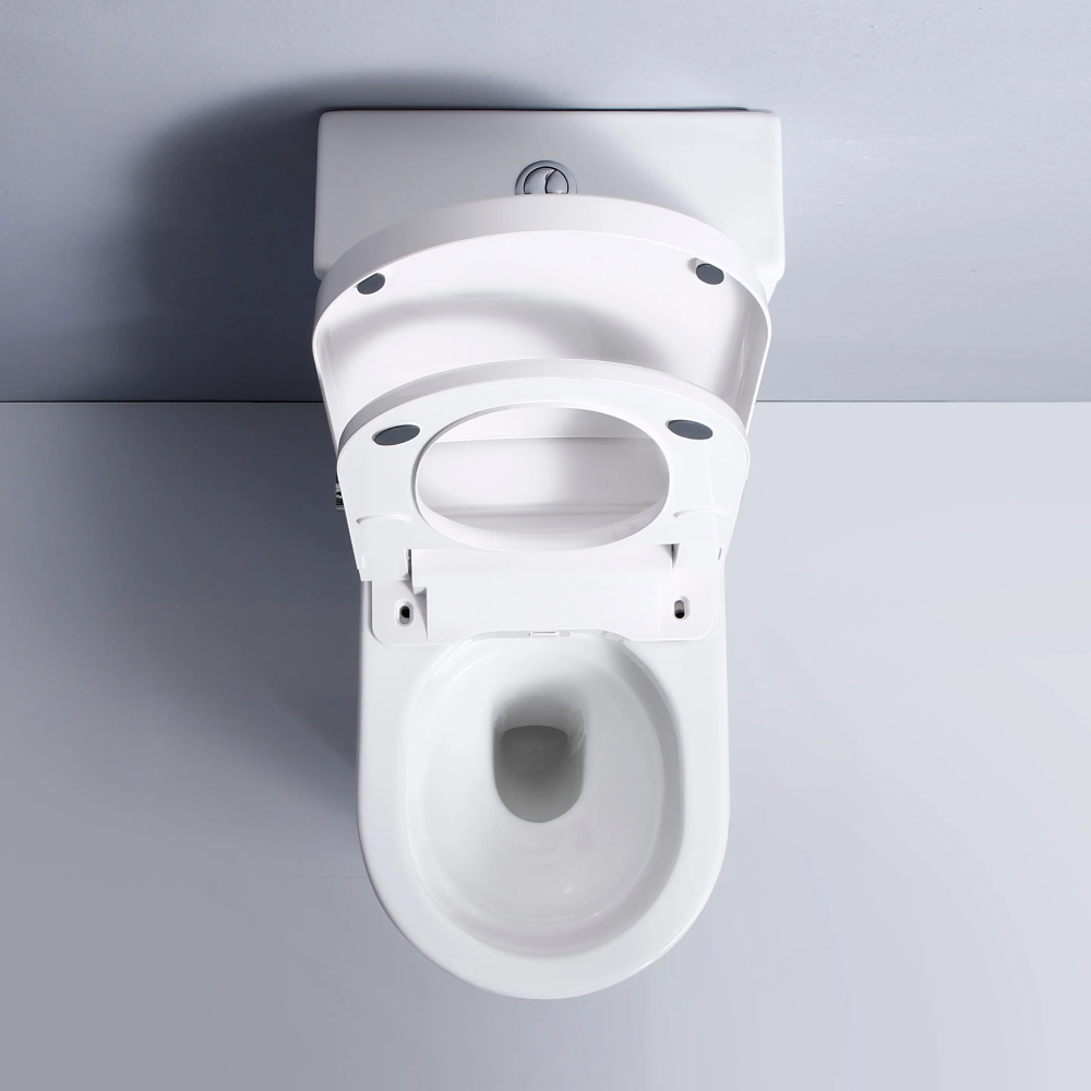 Flavio Toilet Flavio Lavaggio Smart & Cistern