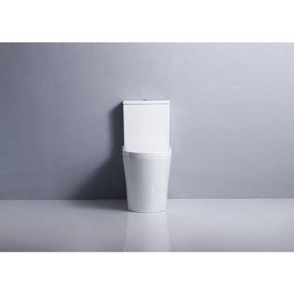 Flavio Toilet Flavio Lavaggio Smart & Cistern