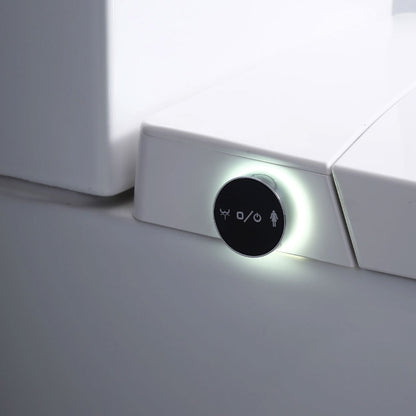 Flavio Toilet Flavio Lavaggio Smart & Cistern