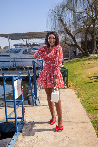 Ladies Dress, Frills and Flounces