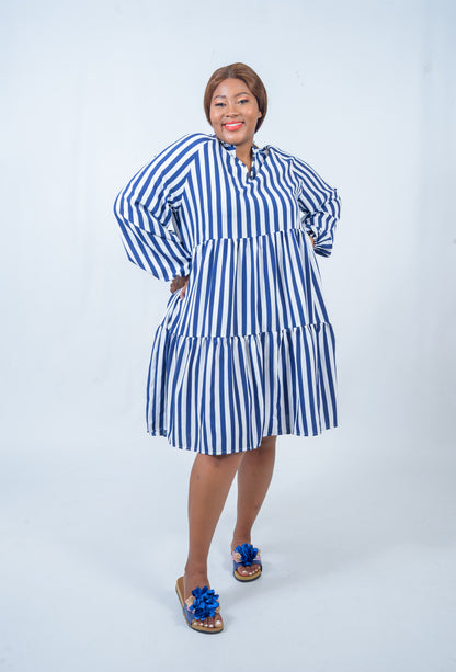 Pin Stripe Trapeze Dress